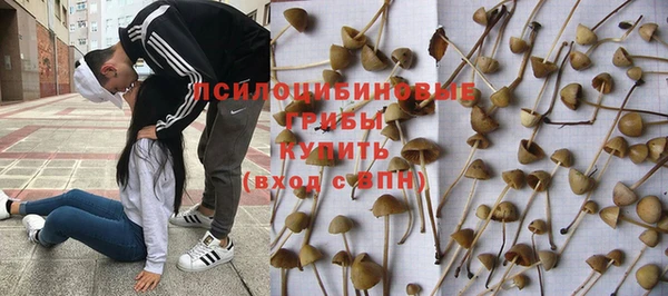 твердый Алексин