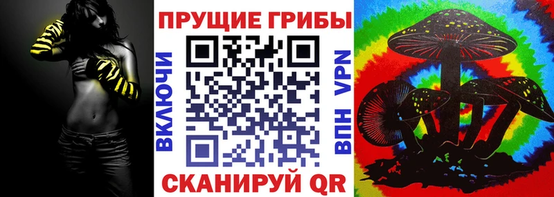 Псилоцибиновые грибы GOLDEN TEACHER Поронайск